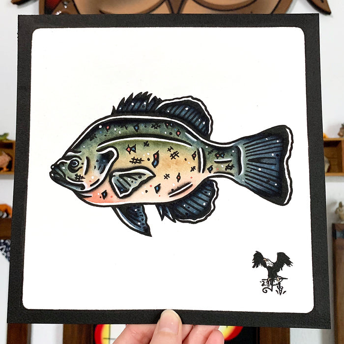 American traditional tattoo flash wildlife illustration Bluegill Sunfish painting.