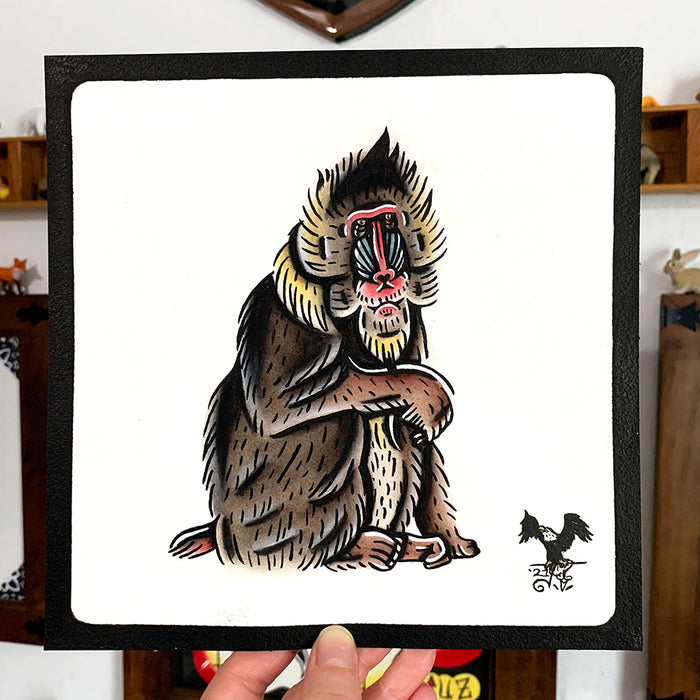 American traditional tattoo flash wildlife illustration Mandrill monkey ink and watercolor painting.