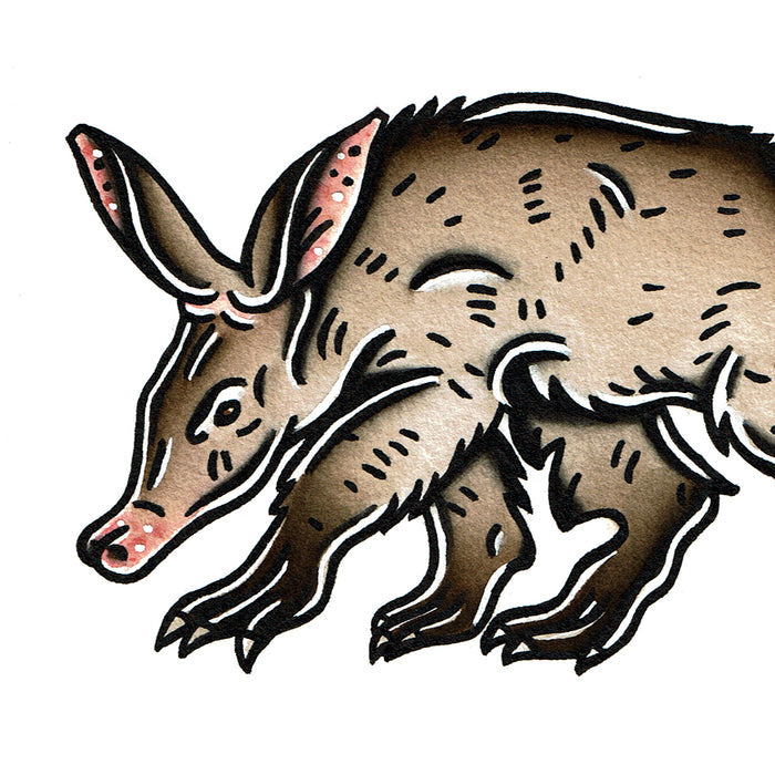 American traditional tattoo flash wildlife illustration Aardvark ink and watercolor painting.