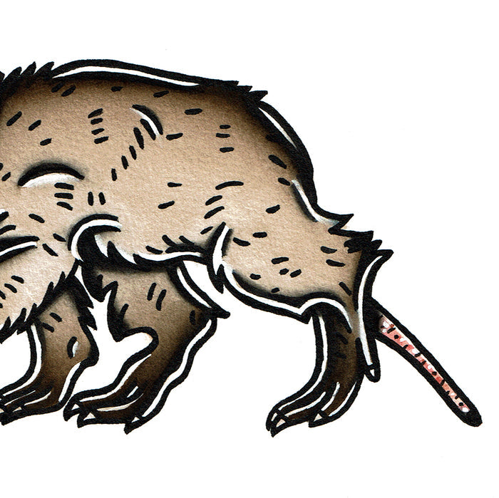 American traditional tattoo flash wildlife illustration Aardvark ink and watercolor painting.