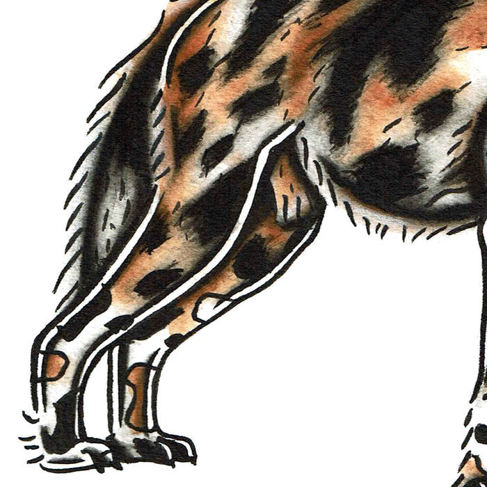 American traditional tattoo flash wildlife illustration African Wild dog ink and watercolor painting.