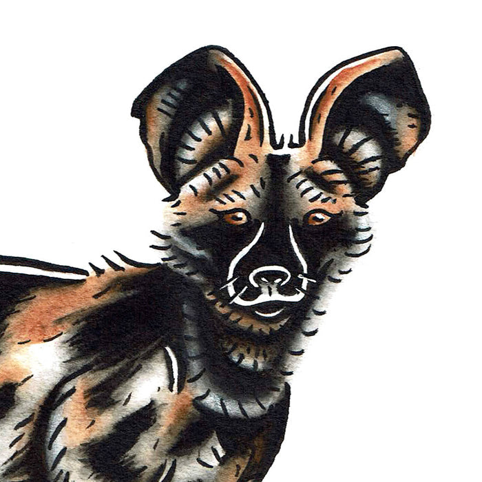 American traditional tattoo flash wildlife illustration African Wild dog ink and watercolor painting.