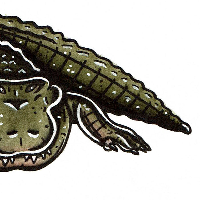 American traditional tattoo flash wildlife illustration American Alligator ink and watercolor painting.