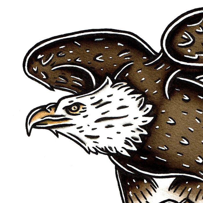 American traditional wildlife illustration Bald Eagle ink and watercolor painting.