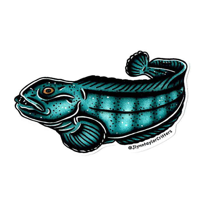 American traditional tattoo flash Atlantic Wolffish wildlife watercolor sticker.