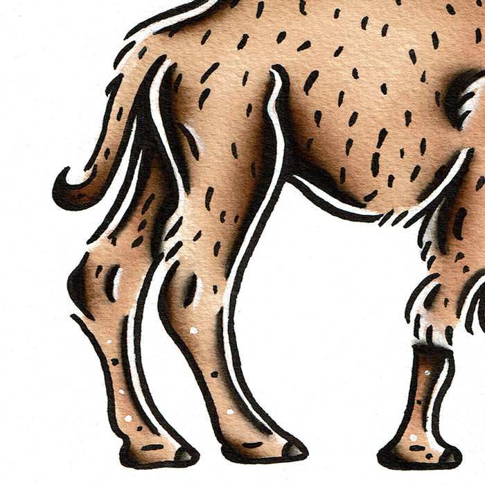 American traditional tattoo flash wildlife illustration Bactrian Camel ink and watercolor painting.