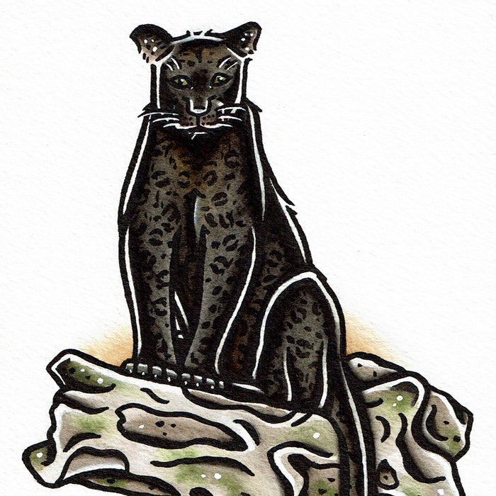 American traditional tattoo flash wildlife illustration Black Panther watercolor painting.