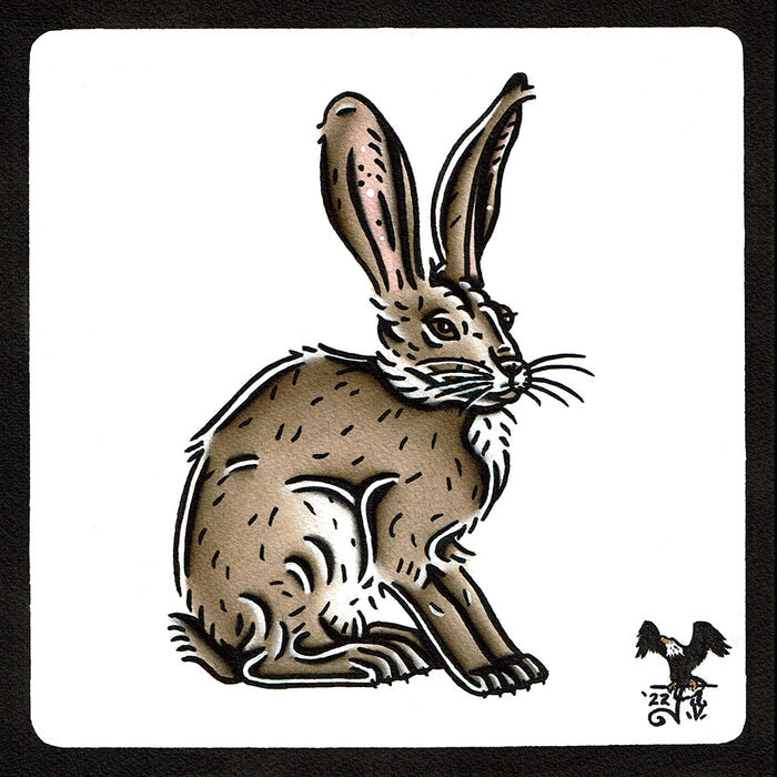 American traditional tattoo flash wildlife illustration Black-tailed Jackrabbit original painting.