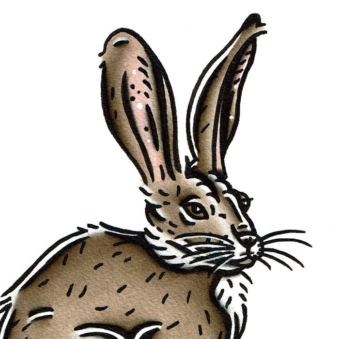 American traditional tattoo flash wildlife illustration Black-tailed Jackrabbit original painting.