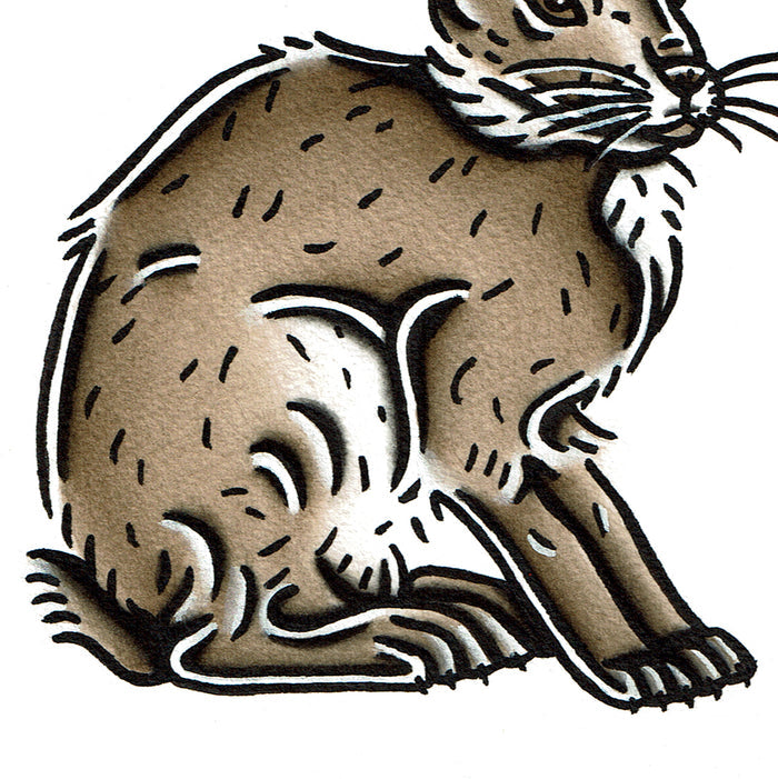 American traditional tattoo flash wildlife illustration Black-tailed Jackrabbit original painting.