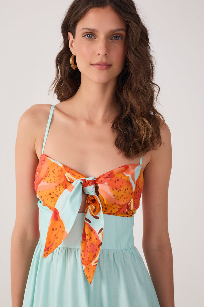 Blue Lily Maxi Dress