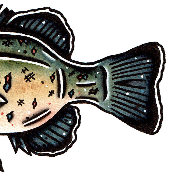 American traditional tattoo flash wildlife illustration Bluegill Sunfish painting.