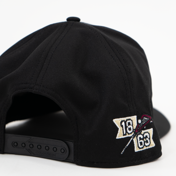 Boston hat