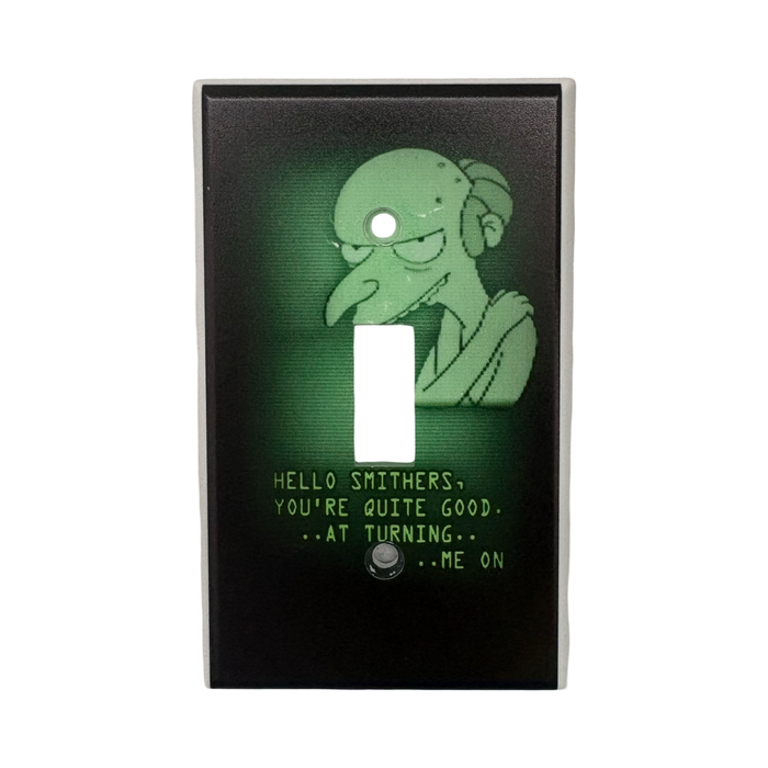 Burns Me On Light Switch Cover