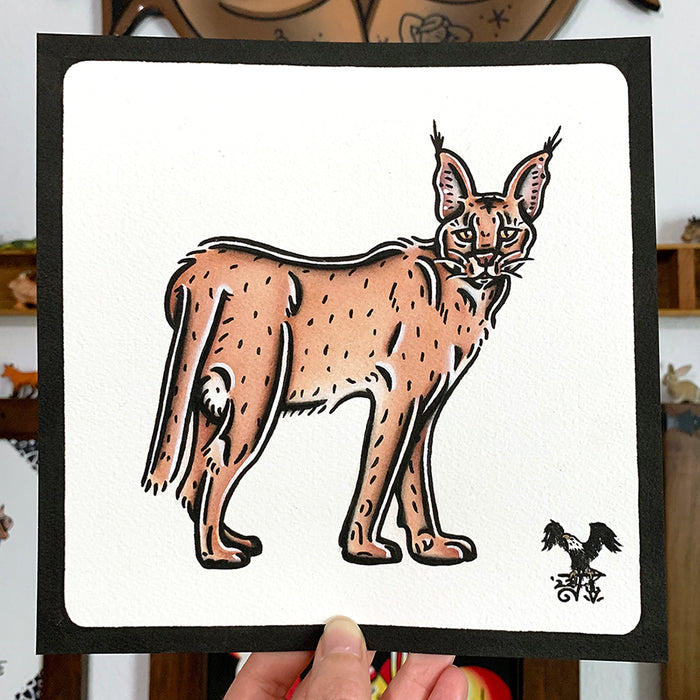 American traditional tattoo flash wildlife illustration Caracal cat ink and watercolor painting.