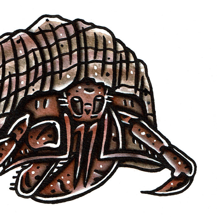 American traditional tattoo flash wildlife illustration Caribbean Hermit Crab ink and watercolor painting.
