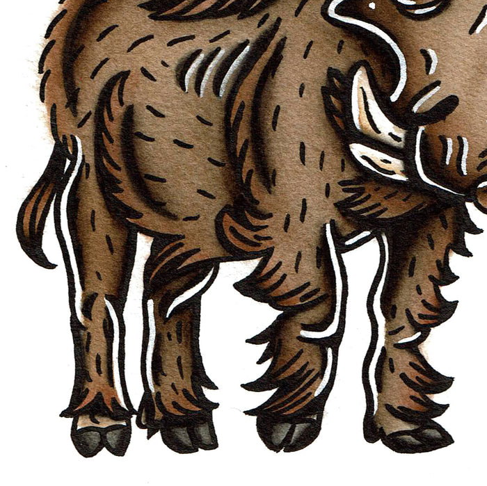 American traditional tattoo flash wildlife illustration Common Warthog ink and watercolor painting.