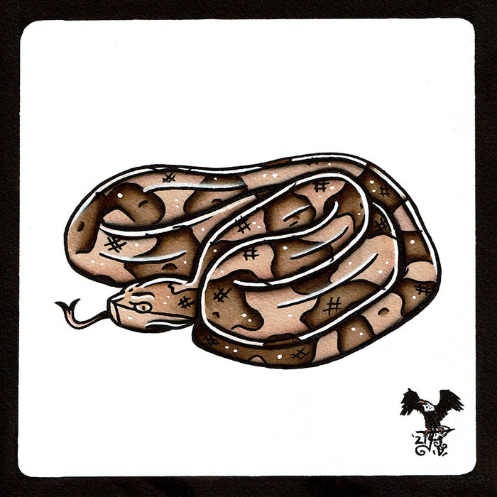 American traditional tattoo flash wildlife illustration Southern Copperhead Snake ink and watercolor painting.