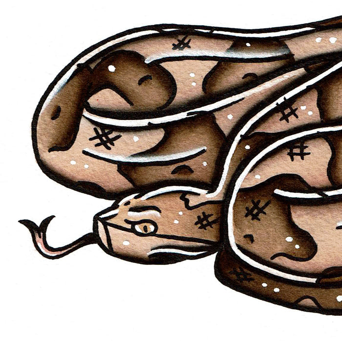 American traditional tattoo flash wildlife illustration Southern Copperhead Snake ink and watercolor painting.