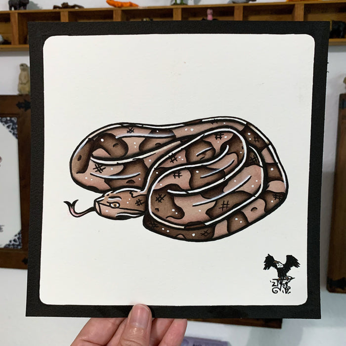 American traditional tattoo flash wildlife illustration Southern Copperhead Snake ink and watercolor painting.