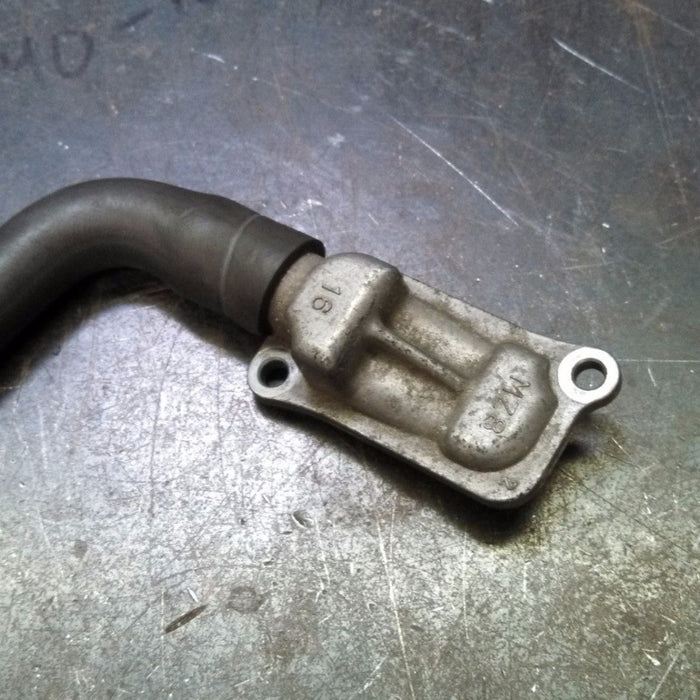 Anteris Bolt On Rear Fender and Sissy Bar Kit