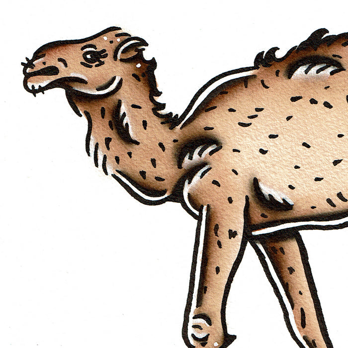 American traditional tattoo flash wildlife illustration Dromedary Camel ink and watercolor painting.