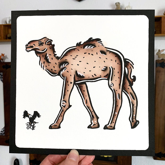 American traditional tattoo flash wildlife illustration Dromedary Camel ink and watercolor painting.