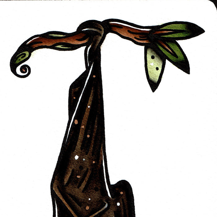 American traditional tattoo flash wildlife illustration Large Flying Fox Fruit Bat watercolor painting.