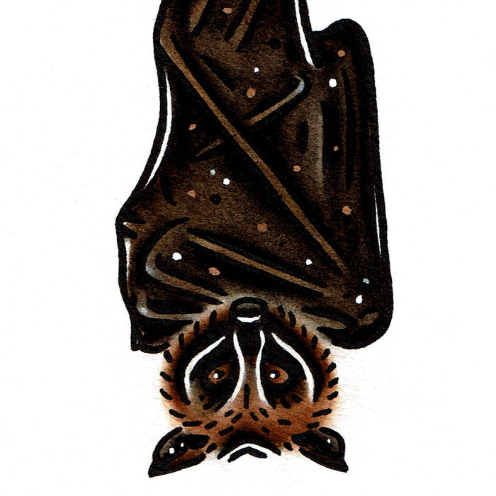 American traditional tattoo flash wildlife illustration Large Flying Fox Fruit Bat watercolor painting.