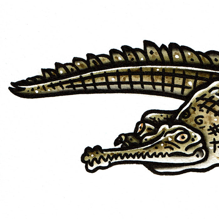 American traditional tattoo flash wildlife illustration Gharial Alligator ink and watercolor painting.