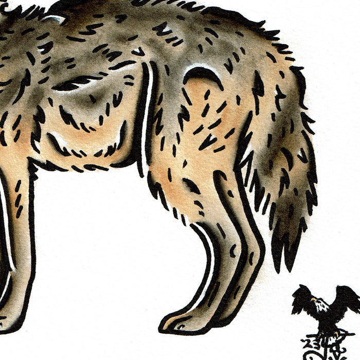 American traditional tattoo flash wildlife illustration Golden Jackal watercolor painting.