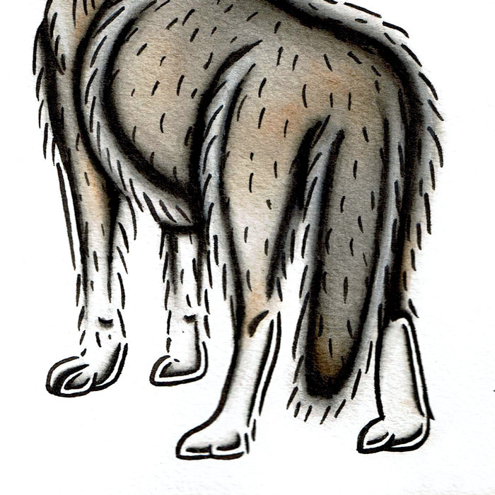 American traditional tattoo flash wildlife illustration Gray Wolf ink and watercolor illustration.
