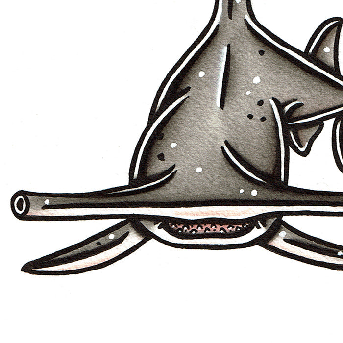 American traditional tattoo flash wildlife illustration Great Hammerhead Shark ink and watercolor painting.