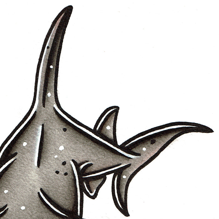 American traditional tattoo flash wildlife illustration Great Hammerhead Shark ink and watercolor painting.