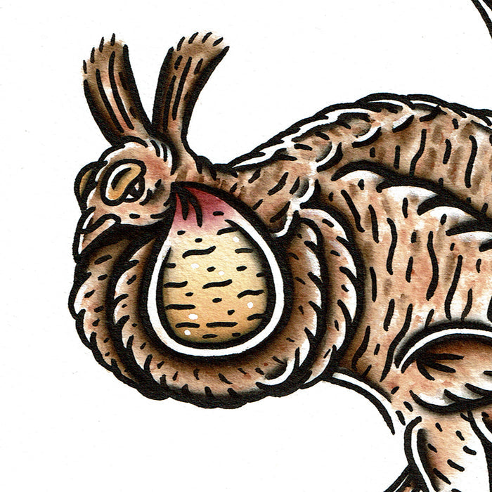 American traditional tattoo flash wildlife illustration Greater Prairie Chicken ink and watercolor painting.