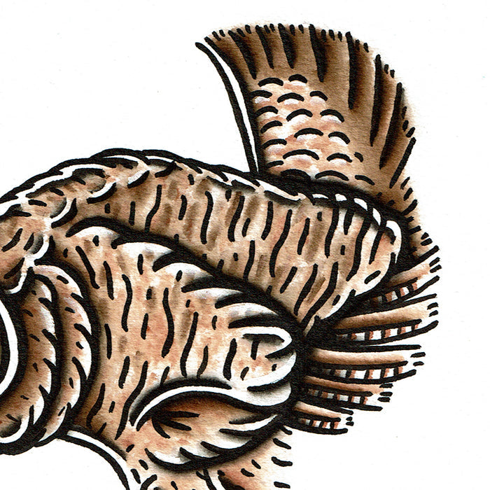 American traditional tattoo flash wildlife illustration Greater Prairie Chicken ink and watercolor painting.