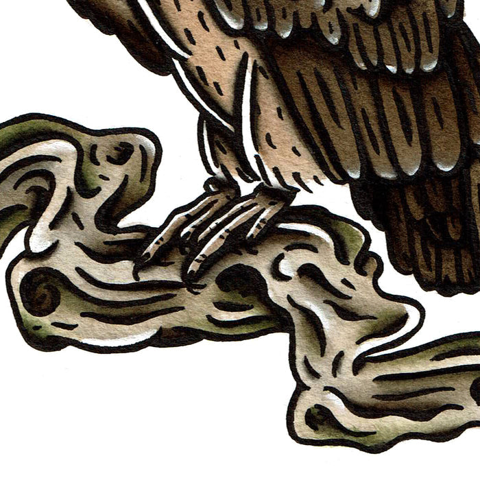 American traditional tattoo flash wildlife illustration Griffon Vulture ink and watercolor painting.