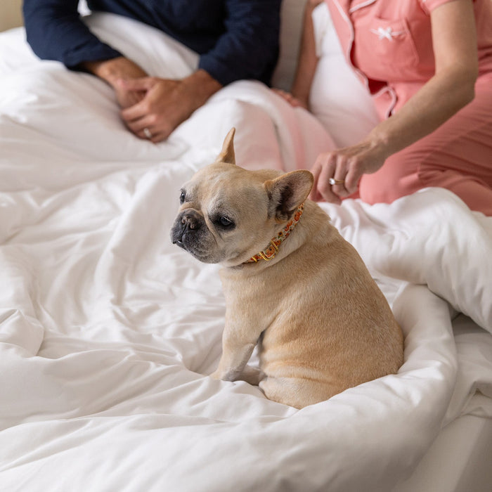 Jersey Knit Duvet Cover in Ivory White