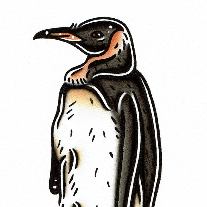 American traditional tattoo flash wildlife illustration King Penguin painting.