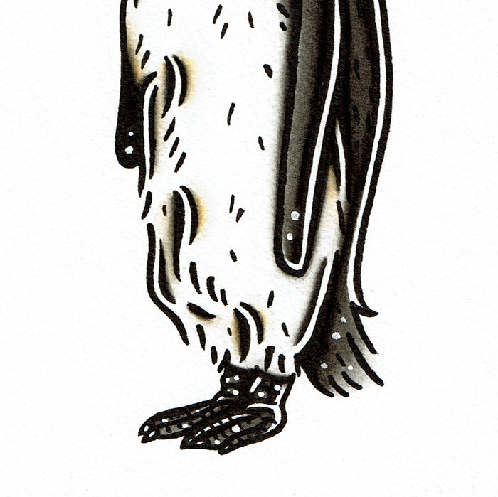 American traditional tattoo flash wildlife illustration King Penguin painting.