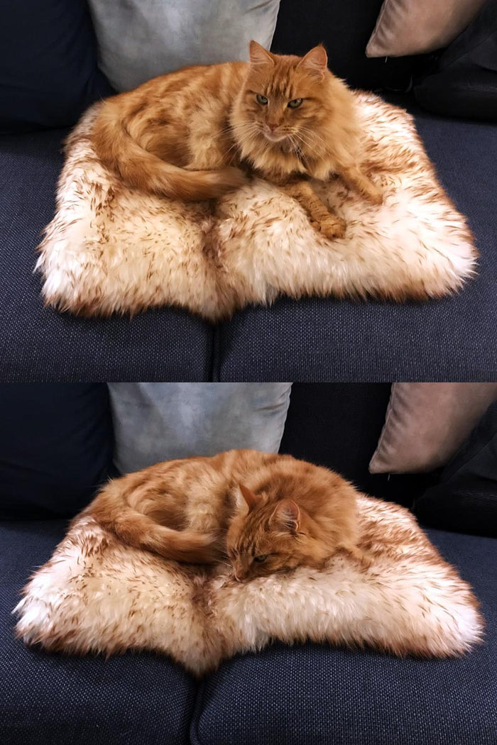 Pet Sheepskin Rug - Lined Rectangle 35x55cm
