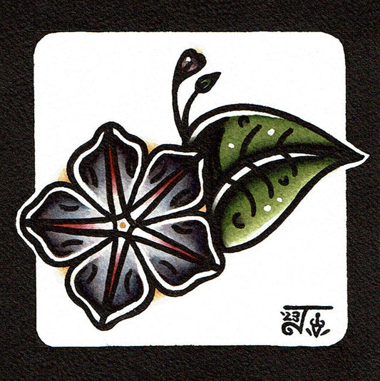 Ameerican traditional tattoo flash Morning Glory Flower watercolor painting.