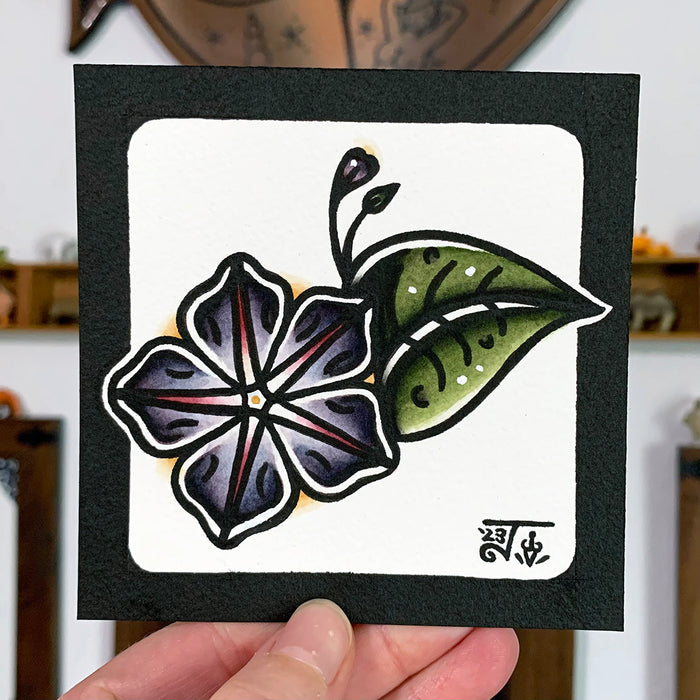Ameerican traditional tattoo flash Morning Glory Flower watercolor painting.