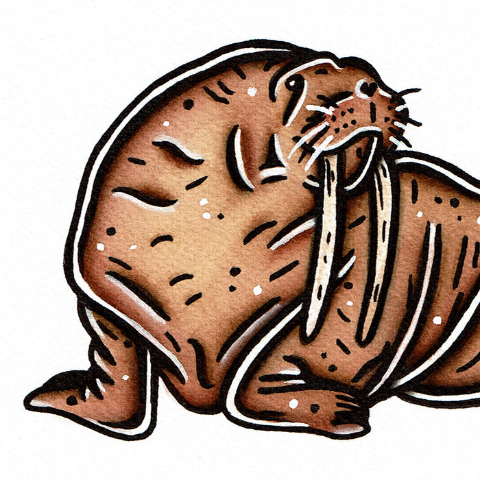 American traditional tattoo flash wildlife illustration Pacific Walrus ink and watercolor painting.