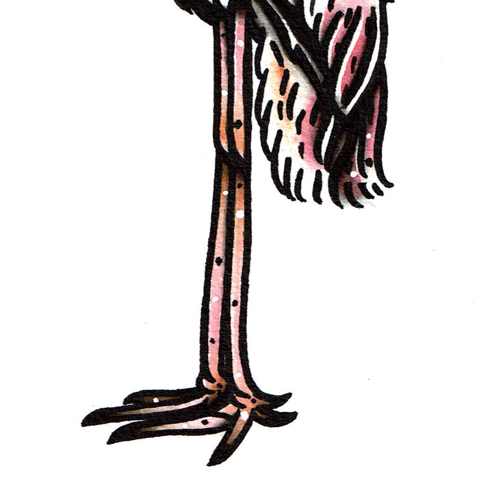 American traditional tattoo flash Painted Stork wildlife watercolor painting.