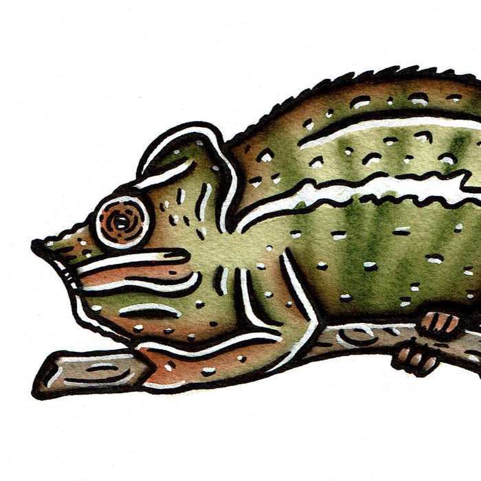 American traditional tattoo flash wildlife illustration Panther Chameleon ink and watercolor painting.