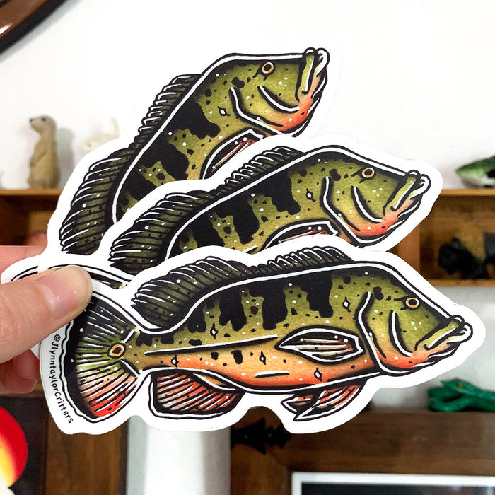 American traditional tattoo flash Peacock Bass watercolor sticker.