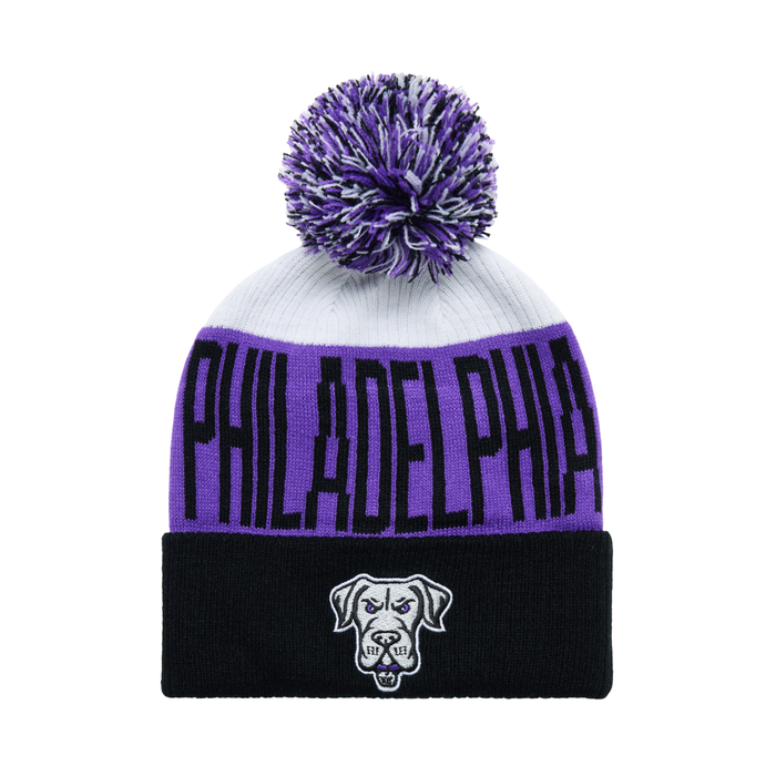 Philly Waterdogs Knit Hat