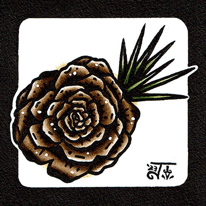 American traditional tattoo flash Pinecone Rosette watercolor painting.