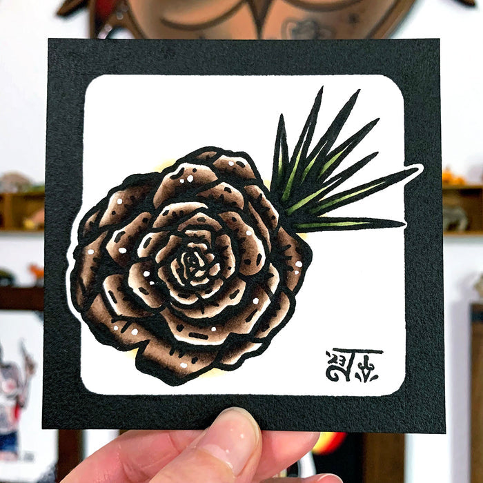 American traditional tattoo flash Pinecone Rosette watercolor painting.